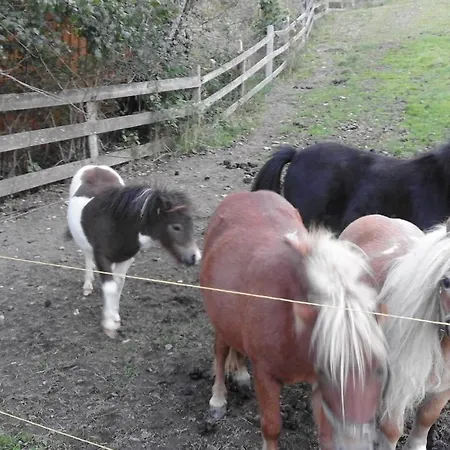 Unterhof לינה וארוחת בוקר 3*