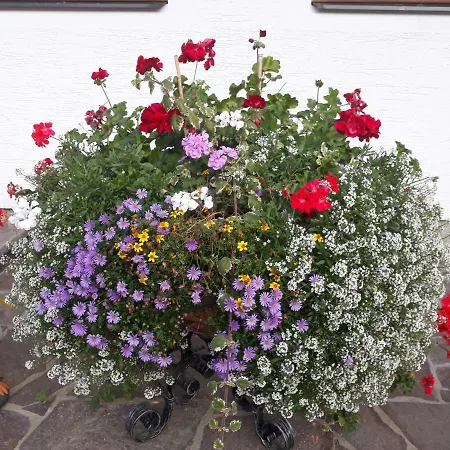 Unterhof לינה וארוחת בוקר