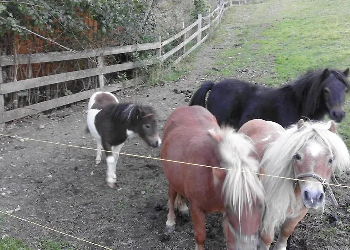 Unterhof Alojamento de Acomodação e Pequeno-almoço 3*